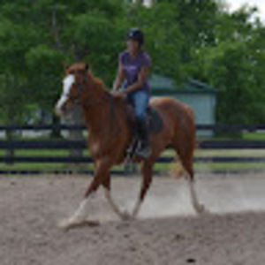 Meet your Posher, Malika